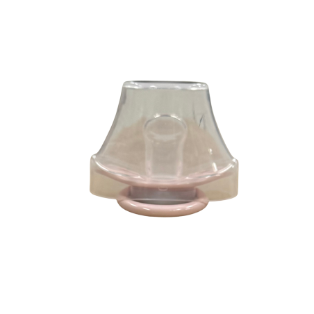 Personalized Pacifier